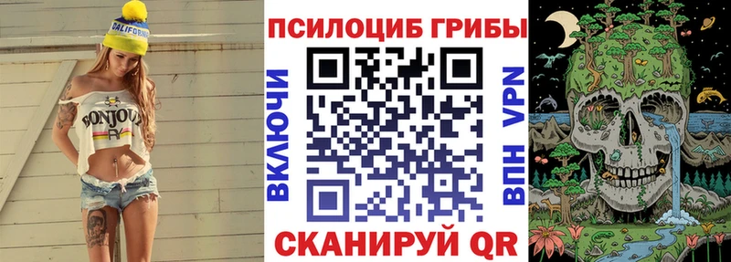 OMG ссылка  Карталы  Галлюциногенные грибы Magic Shrooms  сколько стоит 